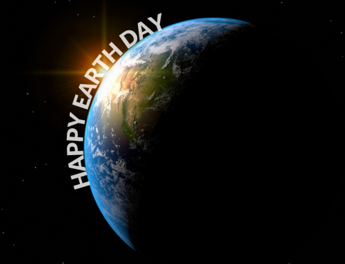 Earth Day, Every Day